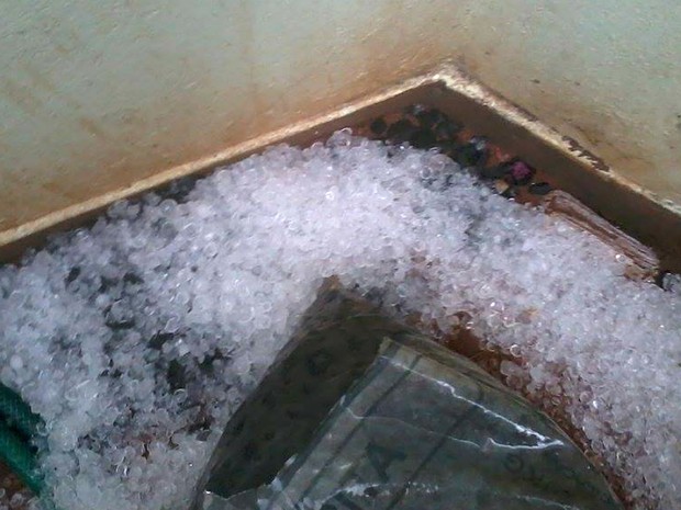 Em Santa Rosa de Viterbo, o granizo tomou conta de várias casas e ruas (Foto: Andréia Rapatoni/Arquivo Pessoal)